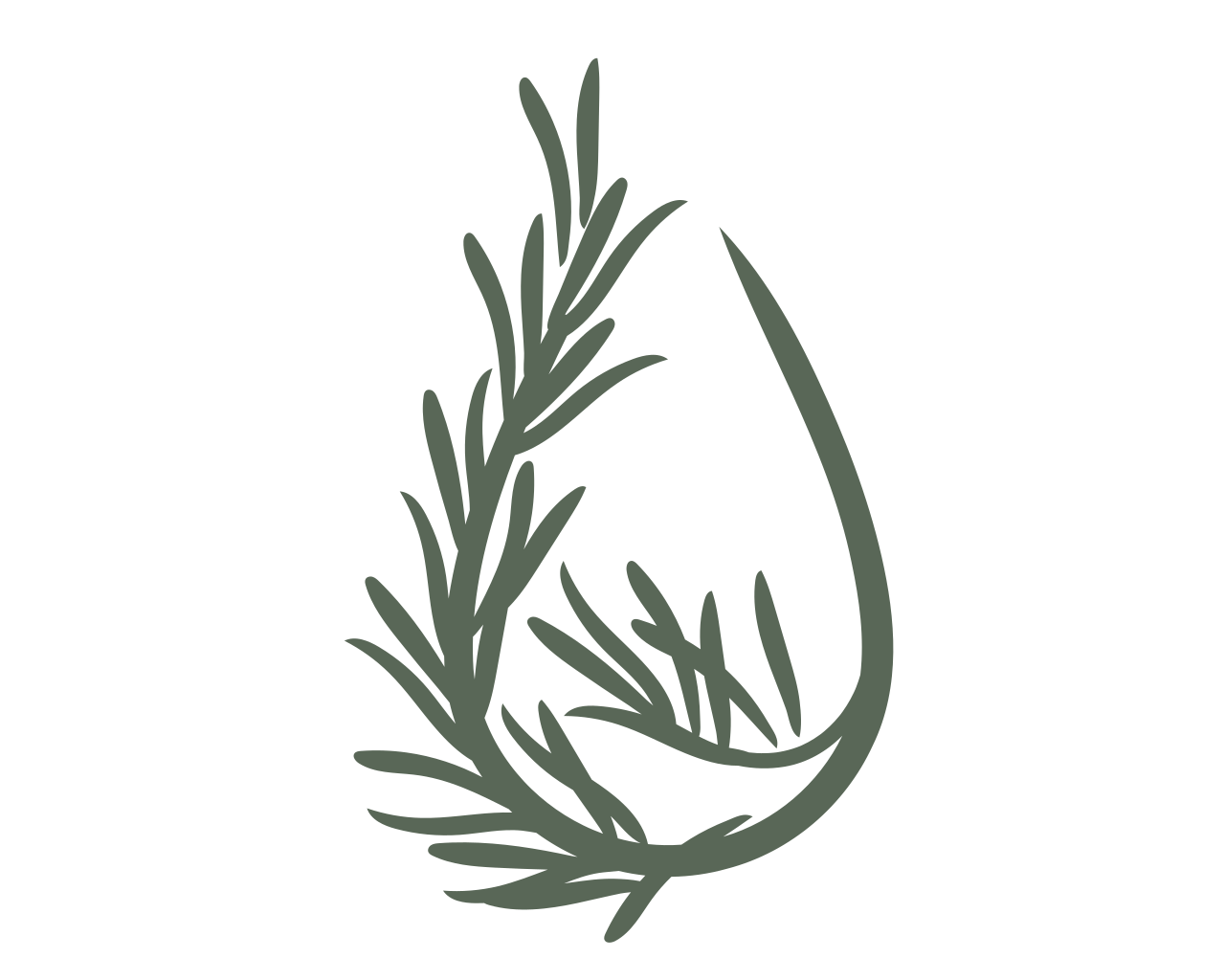 Herbe